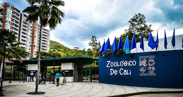 Zoologico